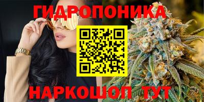 эйфоретик Дубна