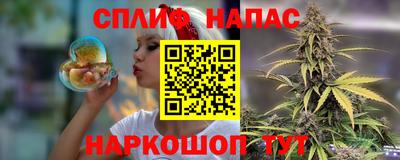 МДПВ Донской