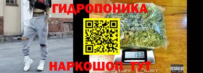 эйфоретик Дубна