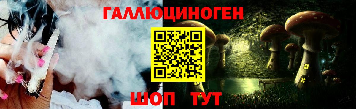 Псилоцибиновые грибы Psilocybe  Вход с VPN  Мичуринск 