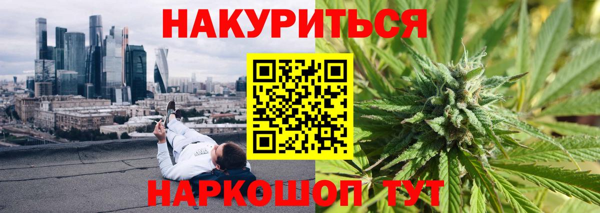 Бошки Шишки план Мичуринск